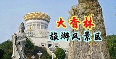 男生的鸡巴猛插女生的小穴顶到子宫视频在线观看中国浙江-绍兴大香林旅游风景区